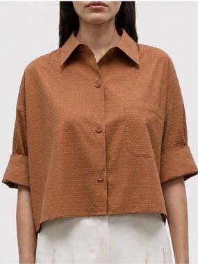 TWP Next Ex Crystal Shirt Special Edition Archive Cropped Boxy Cotton Top Brown